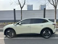 Hongqi Tiangong 06 2025 (8000 км)