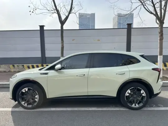 Hongqi Tiangong 06 2025 (8000 км)