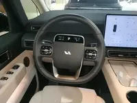 Li Auto MEGA 2025 (27700 км)