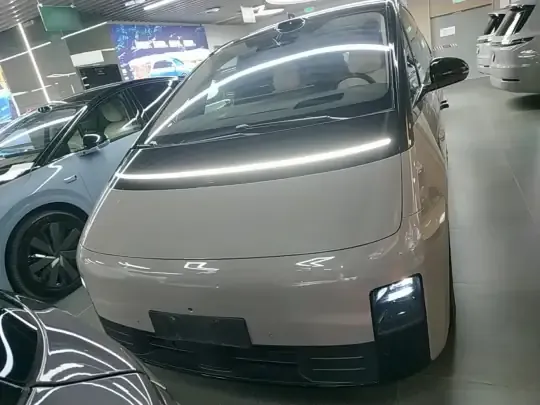 Li Auto MEGA 2025 (27700 км)