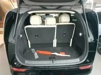 Li Auto MEGA 2025 (27700 км)