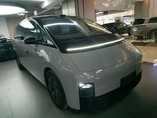 Li Auto MEGA 2025 (27700 км)