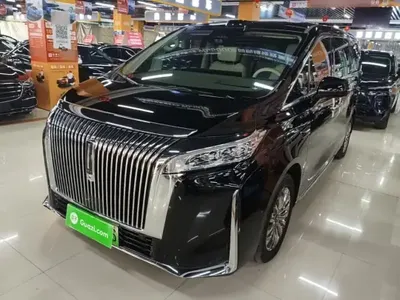 Wey Gaoshan 2025 (11000 км)