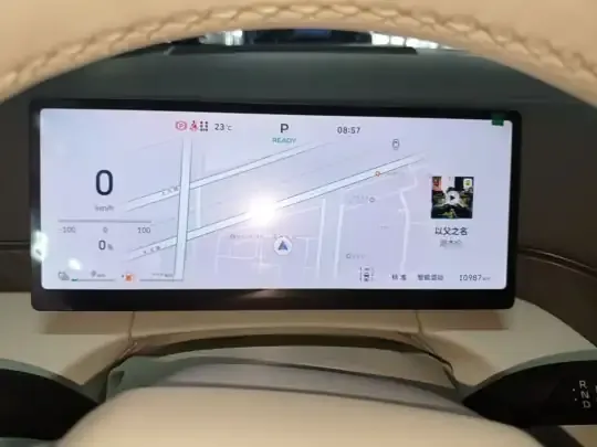 Wey Gaoshan 2025 (11000 км)