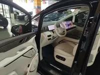 Wey Gaoshan 2025 (11000 км)