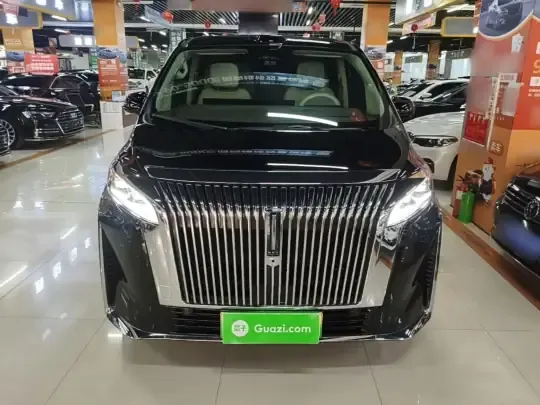 Wey Gaoshan 2025 (11000 км)