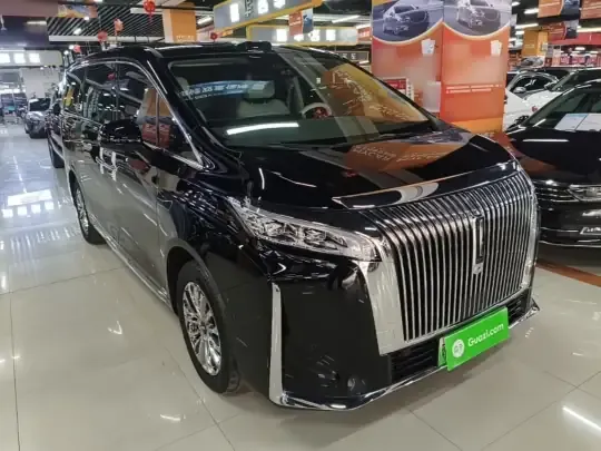 Wey Gaoshan 2025 (11000 км)