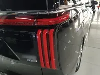 Wey Gaoshan 2025 (11000 км)