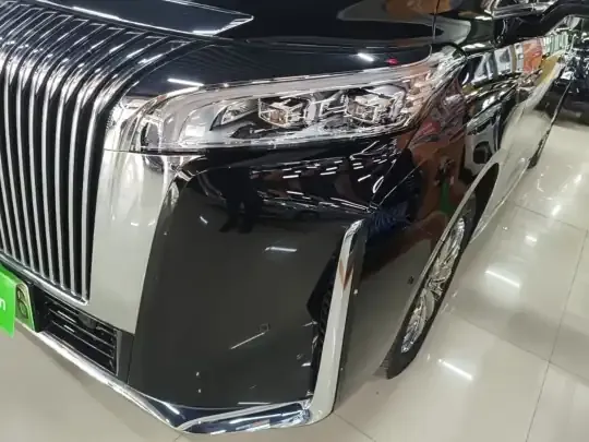 Wey Gaoshan 2025 (11000 км)