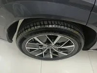 GAC Trumpchi Xiangwang S7 2025 (20800 км)