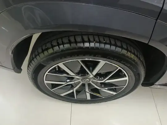 GAC Trumpchi Xiangwang S7 2025 (20800 км)