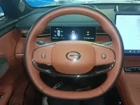 GAC Trumpchi Xiangwang S7 2025 (20800 км)