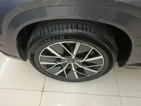 GAC Trumpchi Xiangwang S7 2025 (20800 км)