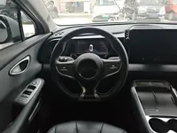 BYD Sealion 05 EV 2025 (23900 км)