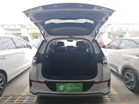 BYD Sealion 05 EV 2025 (23900 км)