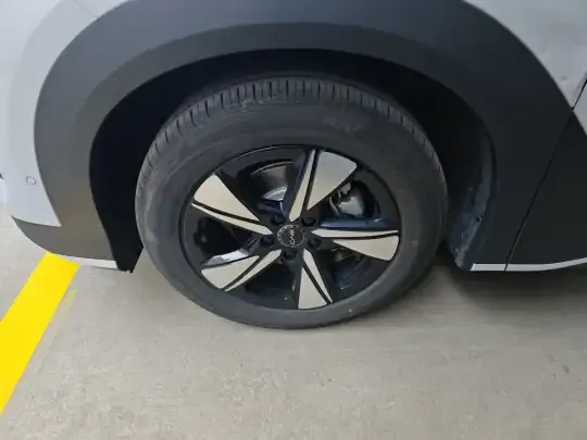 BYD Sealion 05 EV 2025 (23900 км)
