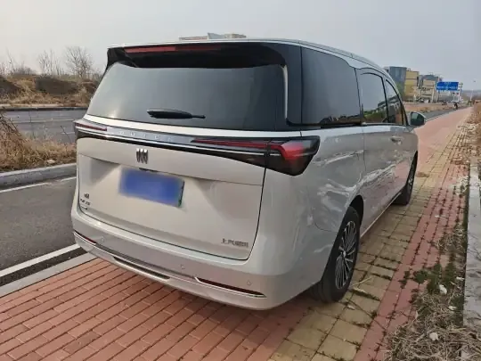 Buick GL8 New Energy 2025 (10800 км)