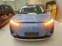 Hongqi Tiangong 06 2025 (4400 км)