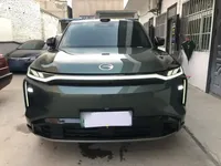 GAC Trumpchi Xiangwang S7 2025 (15200 км)