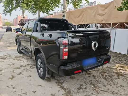 Great Wall Poer 2025 (7100 км)