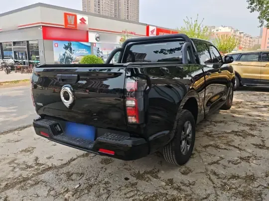 Great Wall Poer 2025 (7100 км)