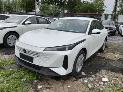 CHANGAN OSHAN 520 2025 (100 км)
