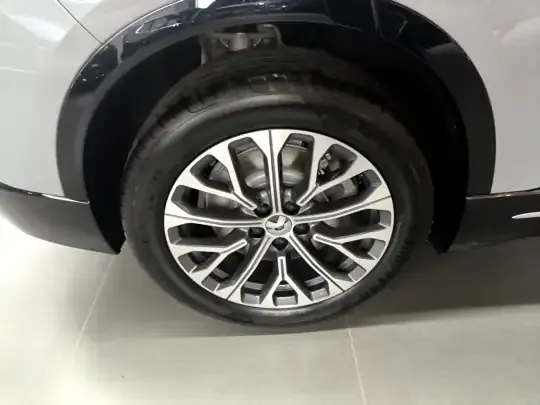 Nio ES6 2025 (100 км)