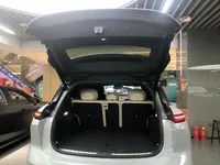 Nio ES6 2025 (100 км)