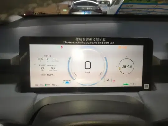 AION Y 2025 (31000 км)
