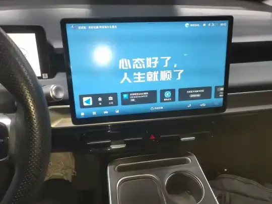 AION Y 2025 (31000 км)