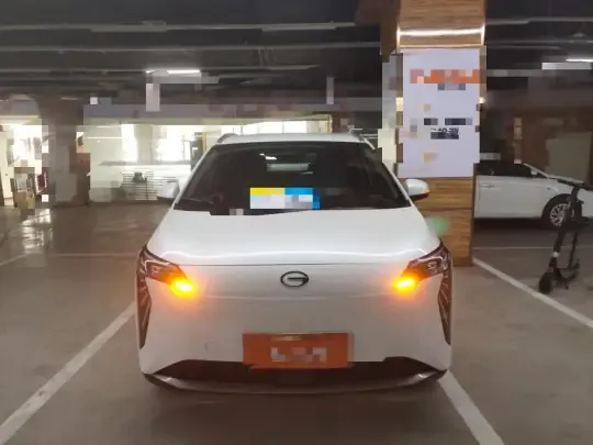 AION Y 2025 (31000 км)