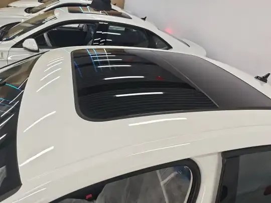 Volkswagen Sagitar 2025 (100 км)