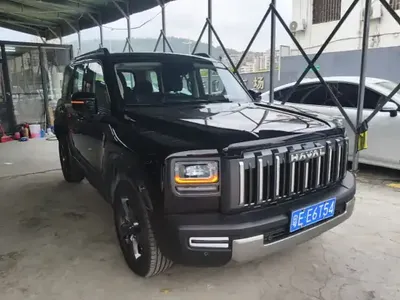 Haval Raptor 2025 (2100 км)