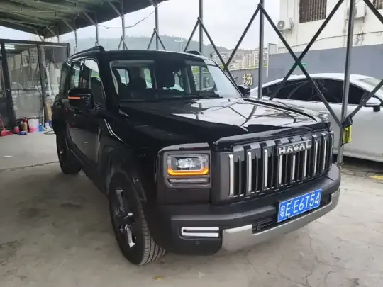 Haval Raptor 2025 (2100 км)