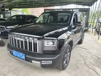 Haval Raptor 2025 (2100 км)