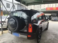 Haval Raptor 2025 (2100 км)