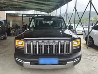 Haval Raptor 2025 (2100 км)