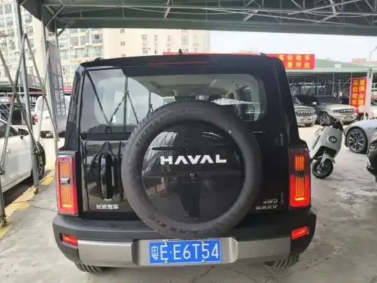 Haval Raptor 2025 (2100 км)