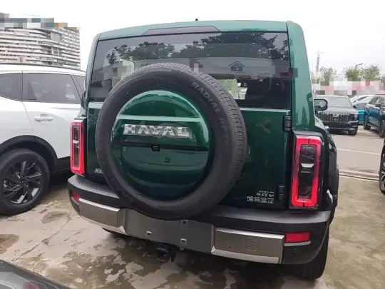Haval Raptor 2025 (1500 км)