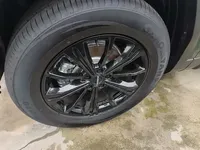 Haval Raptor 2025 (1500 км)