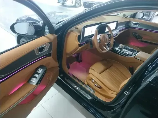 Hongqi H9 2025 (2400 км)