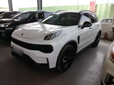 Lynk & Co 01 2025 (5800 км)