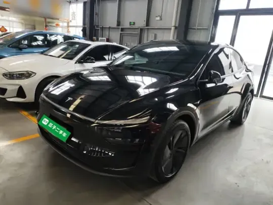 Tesla Model Y 2025 (4400 км)