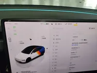 Tesla Model Y 2025 (4400 км)