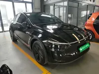 Tesla Model Y 2025 (4400 км)