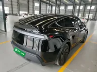 Tesla Model Y 2025 (4400 км)