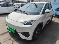 BYD Seagull 2025 (2900 км)