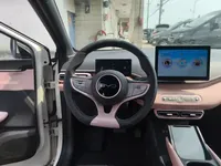 BYD Seagull 2025 (2900 км)