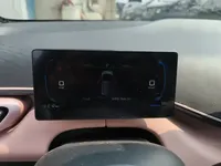 BYD Seagull 2025 (2900 км)
