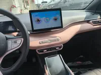 BYD Seagull 2025 (2900 км)